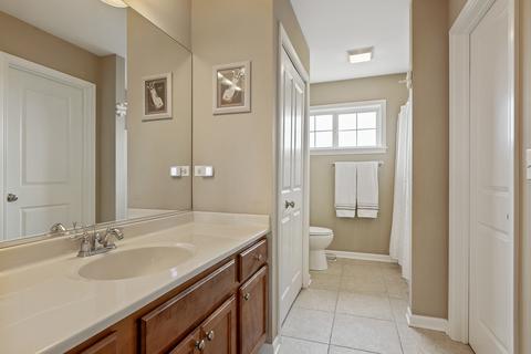 24826 Michele Dr, Plainfield, IL 60544 photo 29