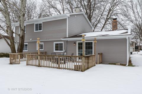 995 Freeman Rd, Hoffman Estates, IL 60192 photo 16