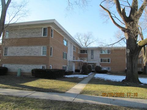 6850 W Lode Dr #2B, Worth, IL 60482 photo 10