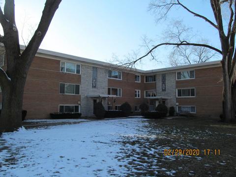 6850 W Lode Dr #2B, Worth, IL 60482 photo 1