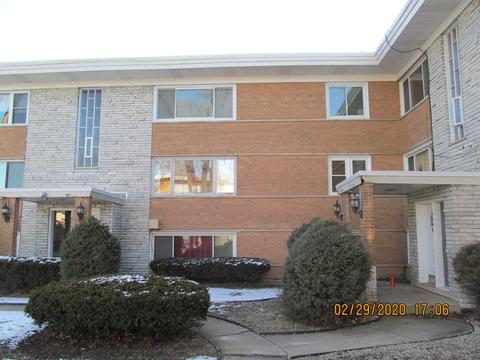 6850 W Lode Dr #2B, Worth, IL 60482 photo 2