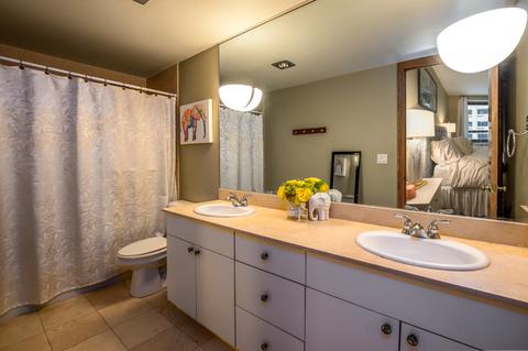 40 E Delaware Pl #503, Chicago, IL 60611 photo 8