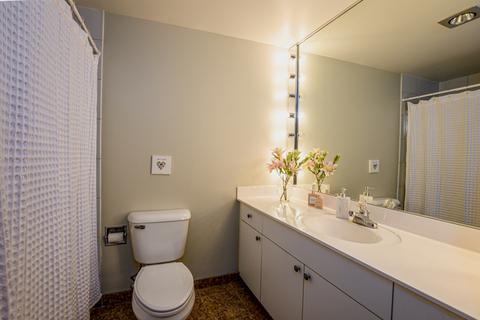 40 E Delaware Pl #503, Chicago, IL 60611 photo 11