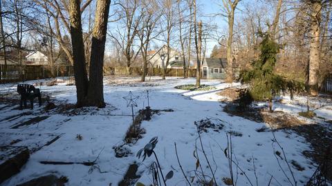10319 Wilmette Ave, Algonquin, IL 60102 photo 4