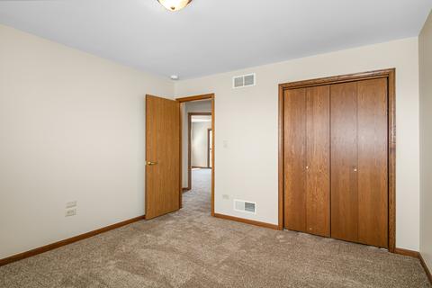 26234 S Ruby St, Monee, IL 60449 photo 16