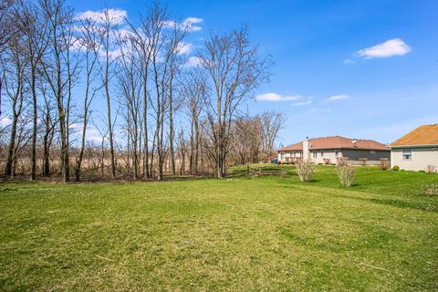 26234 S Ruby St, Monee, IL 60449 photo 20