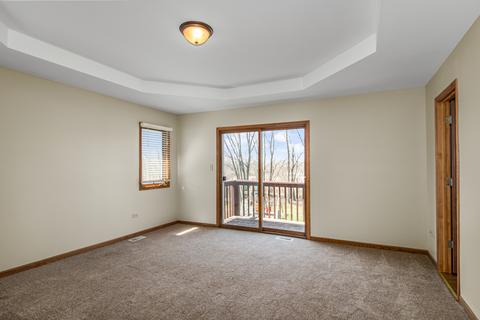 26234 S Ruby St, Monee, IL 60449 photo 12