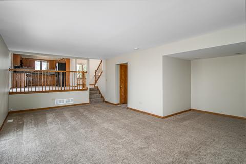26234 S Ruby St, Monee, IL 60449 photo 11
