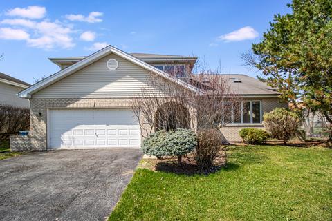 26234 S Ruby St, Monee, IL 60449 photo 1