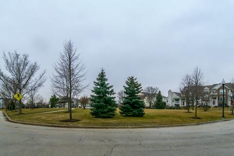 24407 John Adams Dr, Plainfield, IL 60544 photo 6