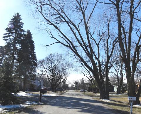 2221 Forest Ave, Rolling Meadows, IL 60008 photo 28