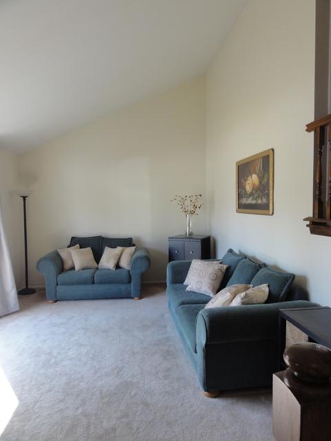 2221 Forest Ave, Rolling Meadows, IL 60008 photo 3