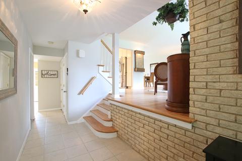 918 S Maple St, Mount Prospect, IL 60056 photo 11