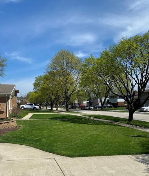 918 S Maple St, Mount Prospect, IL 60056 photo 2