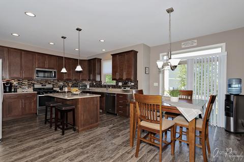 3203 Christopher Ct, Johnsburg, IL 60051 photo 3