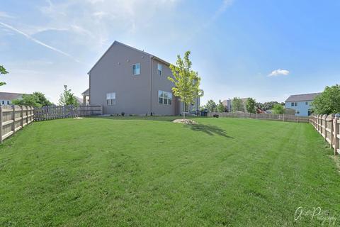 3203 Christopher Ct, Johnsburg, IL 60051 photo 21