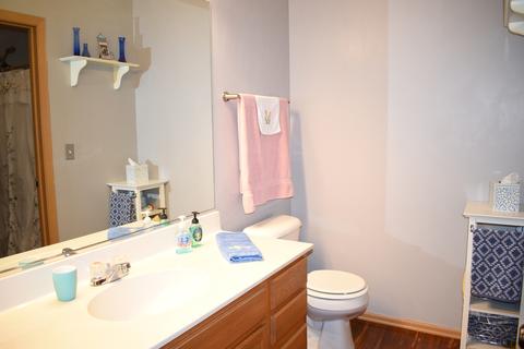 3127 Hoffman St, Plano, IL 60545 photo 14