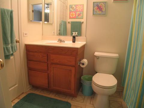 820 Coronado Ct, Elgin, IL 60123 photo 16