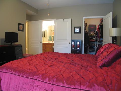 820 Coronado Ct, Elgin, IL 60123 photo 15