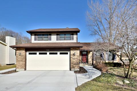 700 Holly Dr, Bartlett, IL 60103 photo 1