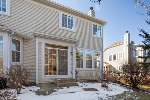 10 Clara Ct, Algonquin, IL 60102 photo 20