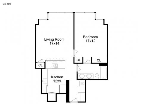 30 E Huron St #1010, Chicago, IL 60611 photo 20