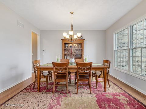 20 Landon Cir, Wheaton, IL 60189 photo 5