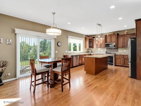 20 Landon Cir, Wheaton, IL 60189 photo 11