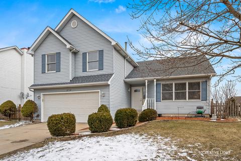 1714 Chestnut Hill Rd, Plainfield, IL 60586 photo 1