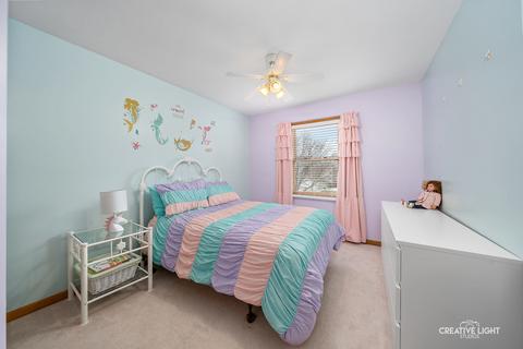 1714 Chestnut Hill Rd, Plainfield, IL 60586 photo 14
