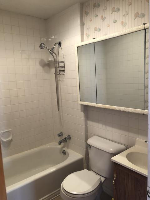 2435 W Berteau Ave, Chicago, IL 60618 photo 11
