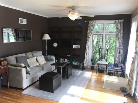 42 Park Ave, River Forest, IL 60305 photo 8