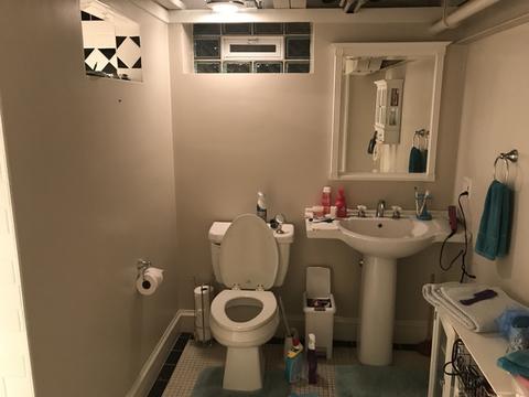 42 Park Ave, River Forest, IL 60305 photo 23