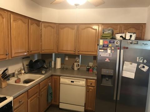 42 Park Ave, River Forest, IL 60305 photo 11