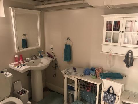 42 Park Ave, River Forest, IL 60305 photo 25