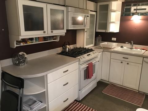 42 Park Ave, River Forest, IL 60305 photo 17
