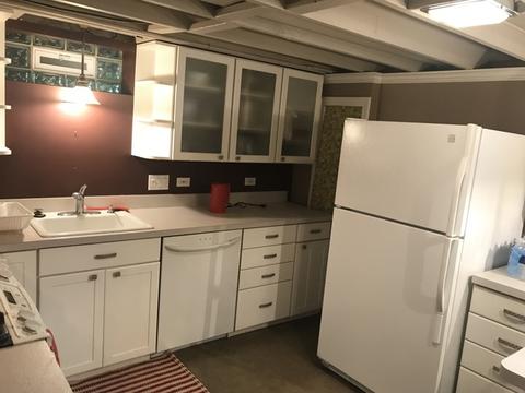 42 Park Ave, River Forest, IL 60305 photo 18