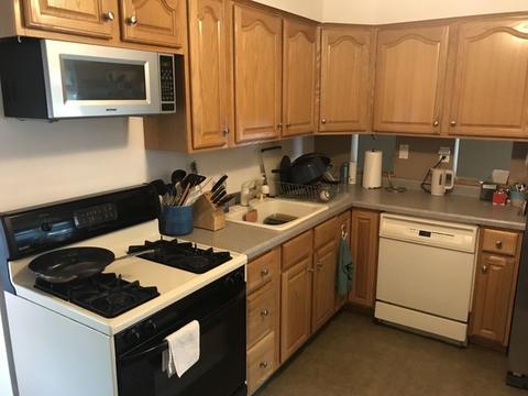 42 Park Ave, River Forest, IL 60305 photo 12