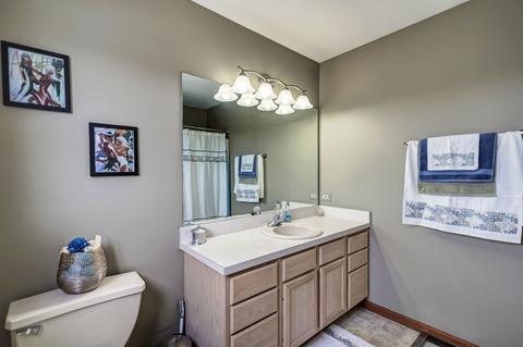 2214 Falcon Dr, Plainfield, IL 60586 photo 33