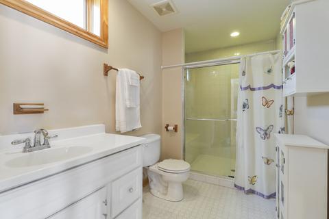 319 Forest Ave, River Forest, IL 60305 photo 14