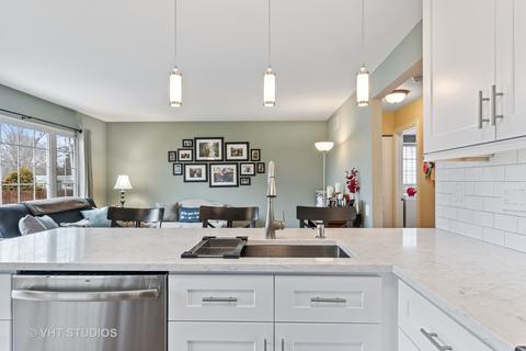 480 Snow Drift Cir, Bartlett, IL 60103 photo 4