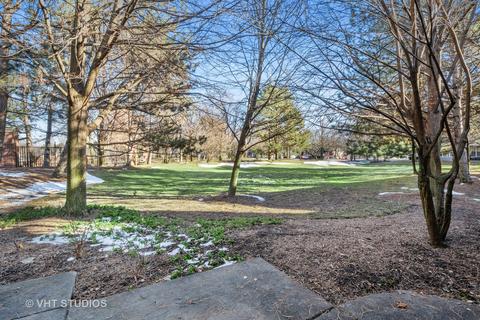 117 Cornell Ct, Glenview, IL 60026 photo 19