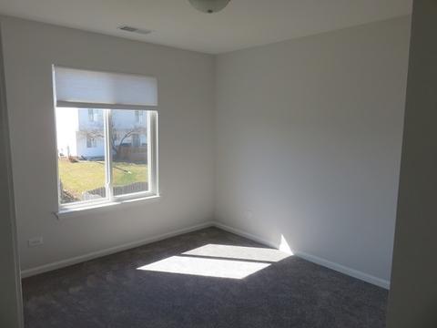 2829 Sun Valley Dr, Plainfield, IL 60586 photo 22