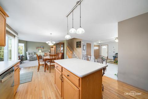 1090 Griffith Ave, Elburn, IL 60119 photo 9