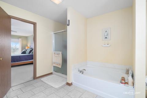 1090 Griffith Ave, Elburn, IL 60119 photo 19