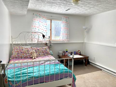 132 Deerpath Dr, Morris, IL 60450 photo 14