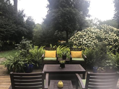 914 N Main St, Wheaton, IL 60187 photo 39