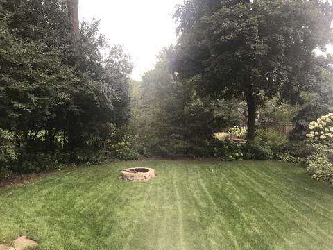914 N Main St, Wheaton, IL 60187 photo 43