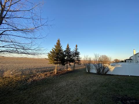 7607 Red Oak Dr, Plainfield, IL 60586 photo 30