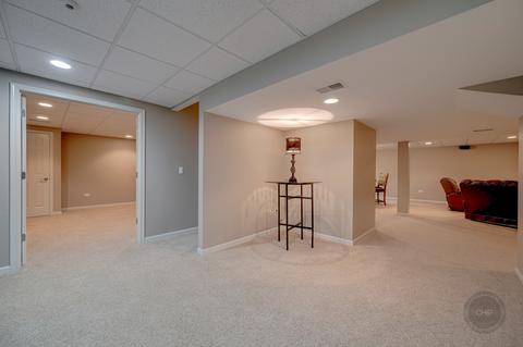 24445 Brooklands Ln, Plainfield, IL 60585 photo 39